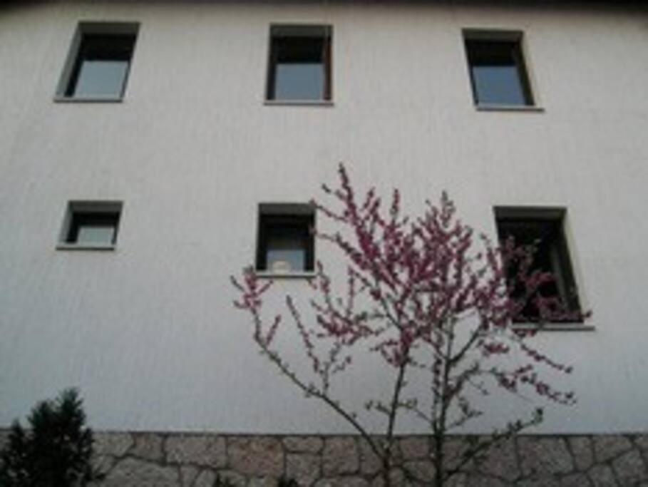 Apartment In Old Town - Top Location SJJ Buitenkant foto